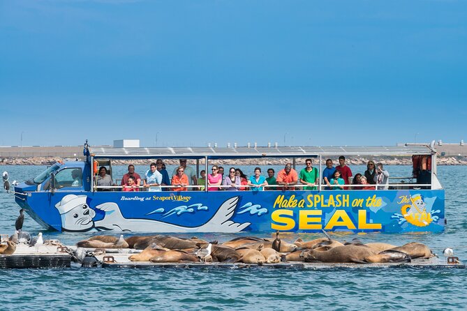 San Diego Seal Tour - The Splashdown Moment: Ski Beach, Quivira Basin, and Sea Life