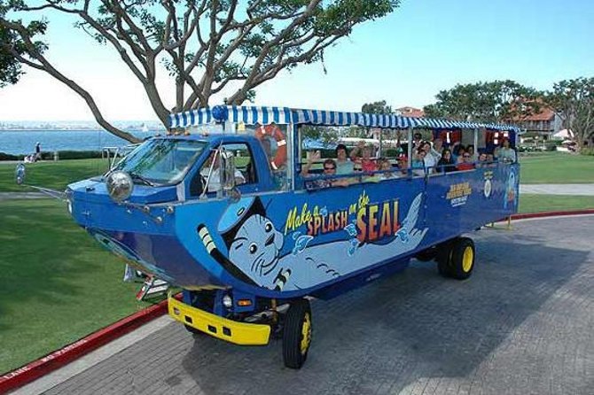 San Diego Seal Tour - Comfort Notes: Open Air, Splash Fears, and Motion