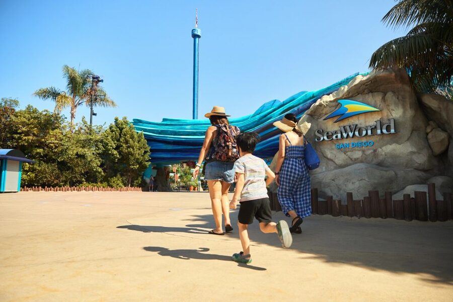 San Diego: SeaWorld Skip-the-Line Park Admission Ticket - Key Points That Matter Before You Go