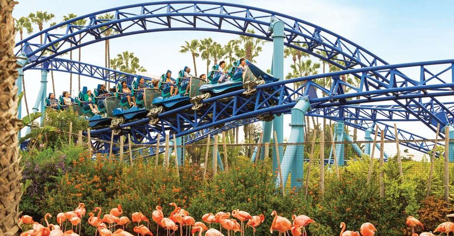 San Diego: SeaWorld Skip-the-Line Park Admission Ticket - Animal Presentations and Close-Up Marine Life