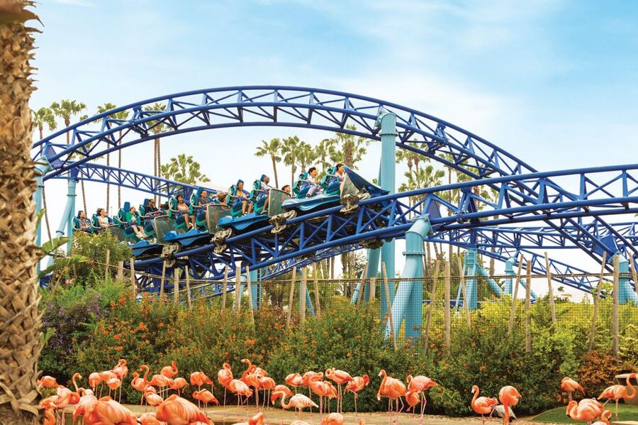 San Diego: SeaWorld Skip-the-Line Park Admission Ticket - Arrive Ready for a 100-Acre Outdoor Park Day