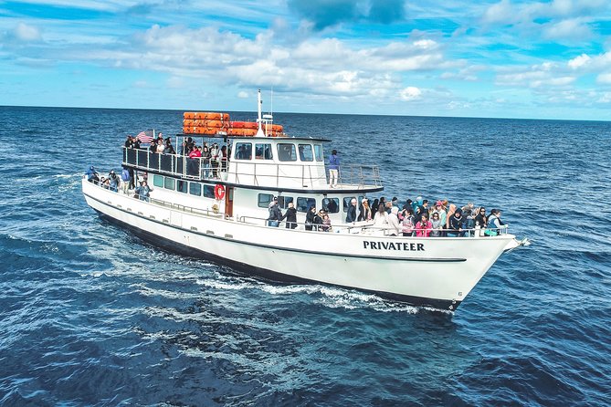San Diego Whale Watching & Dolphin Cruise - Who this cruise is best for