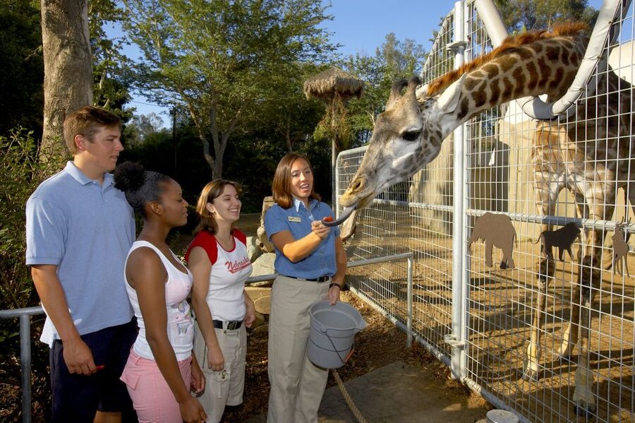 San Diego Zoo: 1-Day Admission Ticket - Key Highlights You Should Actually Plan For