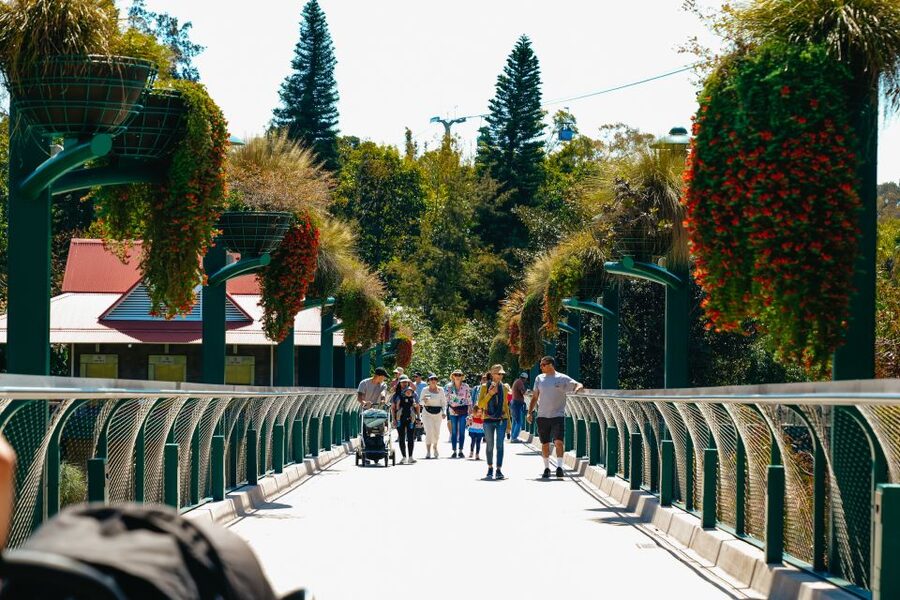 San Diego Zoo: 1-Day Admission Ticket - Other Animals to Look For: Big Cats, Birds, and Oddities