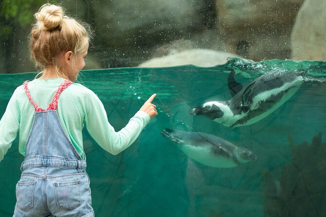 San Diego Zoo 1-Day Pass: Any Day Ticket - Start smart with Skyfari and the Guided Bus Tour