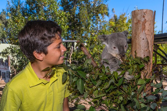 San Diego Zoo 1-Day Pass: Any Day Ticket - Gardens, plant diets, and why the scenery matters
