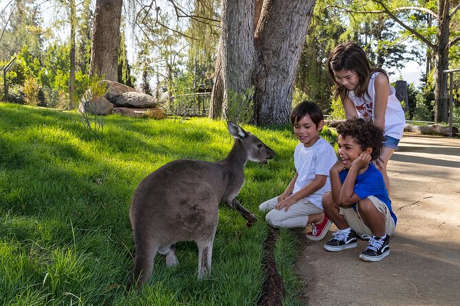 San Diego Zoo Safari Park 1-Day Pass: Any Day Ticket - Walking trails to lion, tiger, and watering-hole moments