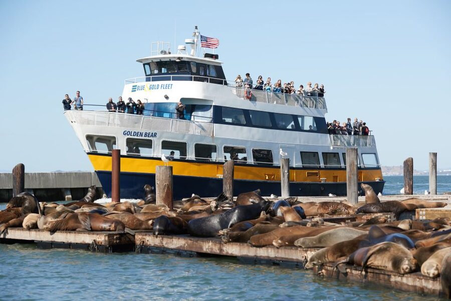 San Francisco: Alcatraz with San Francisco Bay Cruise - Why this Alcatraz and Bay Cruise combo feels worth the money