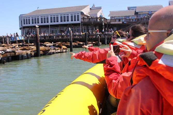 San Francisco Bay Adventure Sightseeing Cruise - Quick Waterfront Stops: Ferry Building, Presidio Views, and More