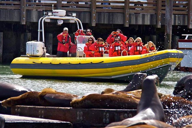 San Francisco Bay Adventure Sightseeing Cruise - Who This Boat Tour Suits Best (and Who Might Skip)