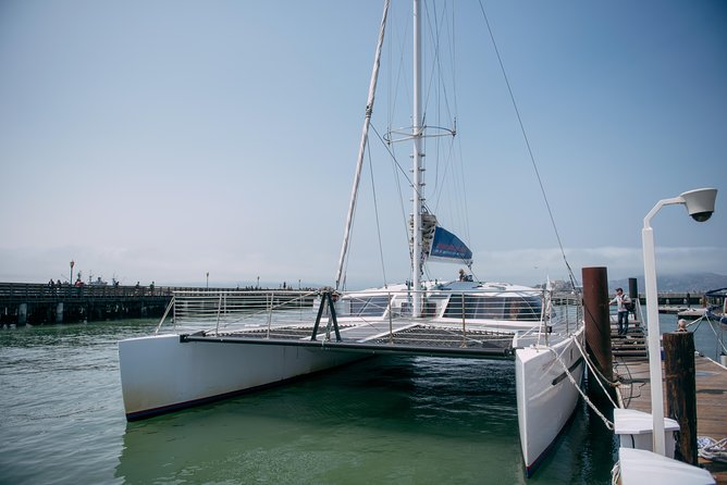 San Francisco Bay Sailing Cruise - Sausalito and the Bay wildlife chances
