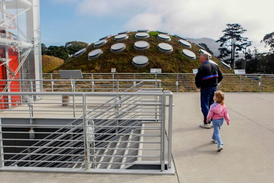San Francisco: California Academy of Sciences Entry Ticket - Food, Lines, and Parking: The Stuff That Can Make or Break Your Day