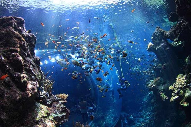 San Francisco CityPASS® - California Academy of Sciences: plan for a 4-hour science block