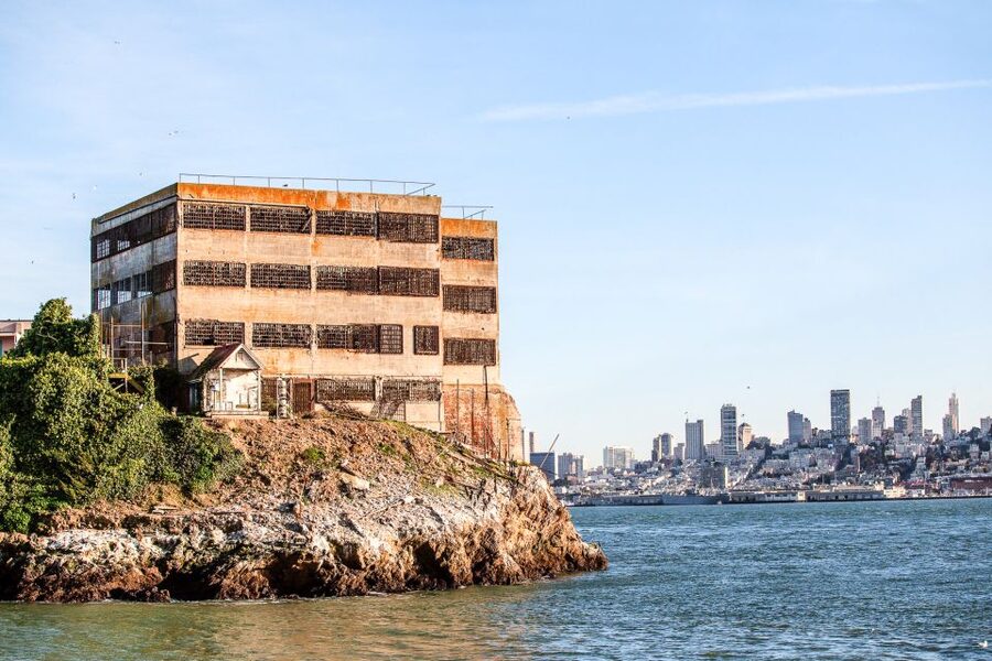 San Francisco: Golden Gate Bay Cruise - Sausalito Views on the Way Back, Plus Pier 39 Sea Lions
