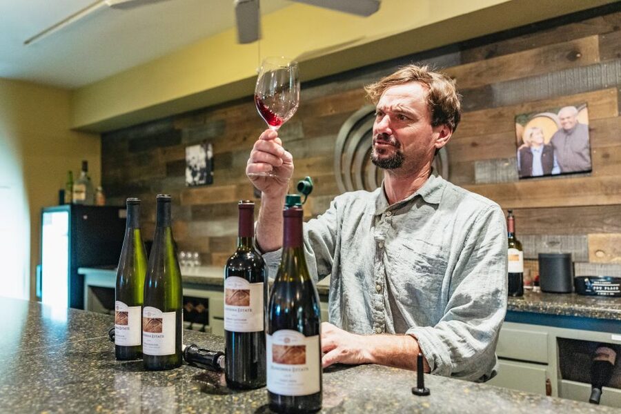 San Francisco: Half-Day Wine Country Excursion with Tastings - Key Highlights Worth Booking For
