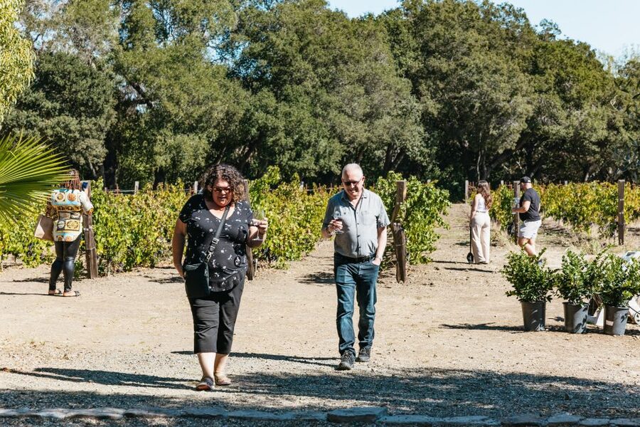 San Francisco: Half-Day Wine Country Excursion with Tastings - Who Should Book This Tour, and Who Might Skip It