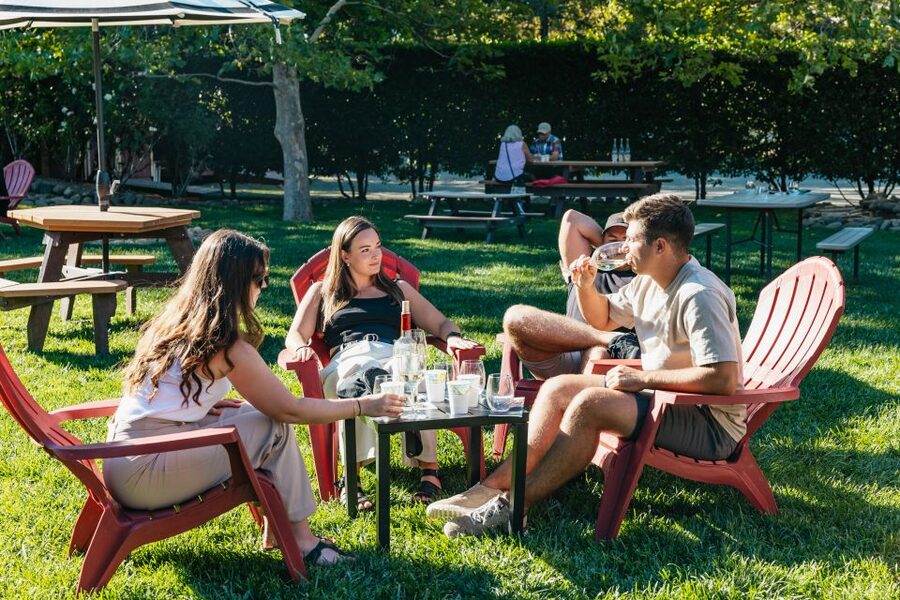 San Francisco: Half-Day Wine Country Excursion with Tastings - Logistics You Should Plan For: No Lunch, Pack Light, Stay Comfortable