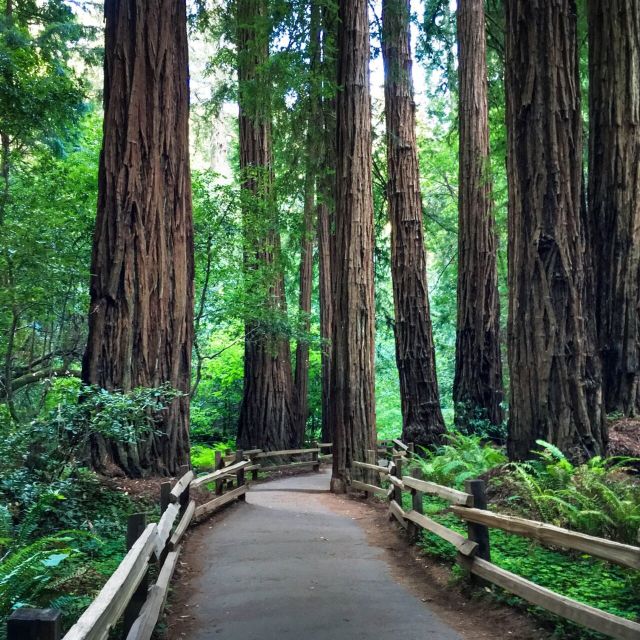 San Francisco: Hop-On Hop-Off Sightseeing Tour with 17 Stops - The Golden Gate Bridge factor: how to time it and what to bring