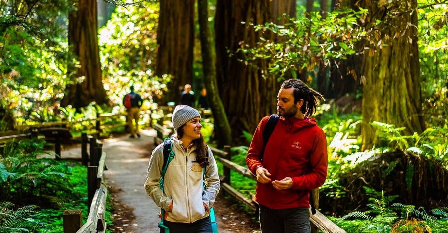 San Francisco: Muir Woods and Sausalito Half-Day Trip - Why this half-day Muir Woods and Sausalito plan is so practical