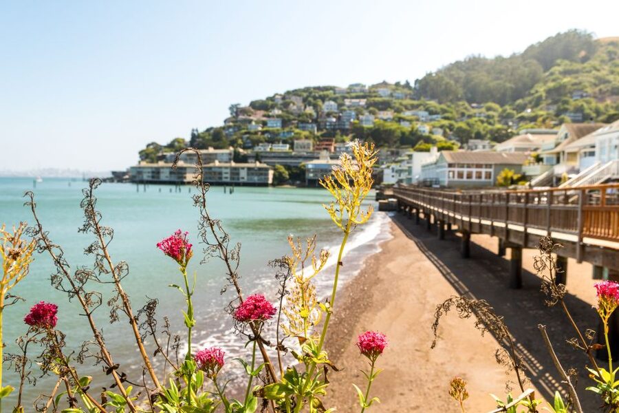 San Francisco: Muir Woods and Sausalito Half-Day Trip - The transfer to Sausalito: a scenic mini-bus break