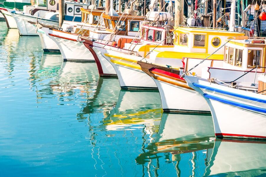 San Francisco: Muir Woods and Sausalito Half-Day Trip - Sausalito free time: shop, sightsee, and chase views