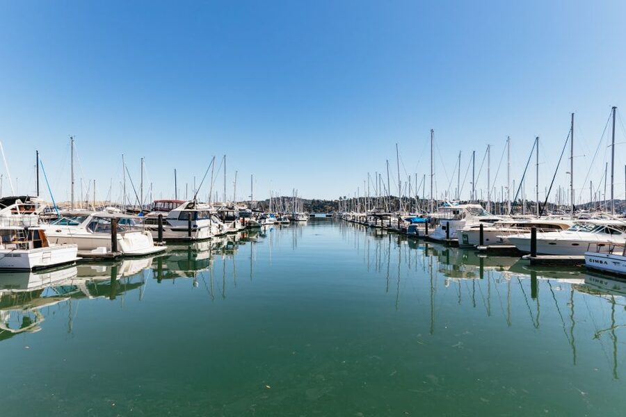 San Francisco: Muir Woods and Sausalito Small-Group Tour - Key highlights worth knowing before you go