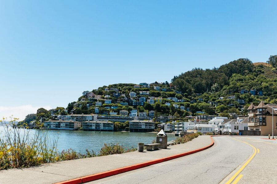 San Francisco: Muir Woods and Sausalito Small-Group Tour - Sausalito in one hour: galleries, cafes, and dockside views