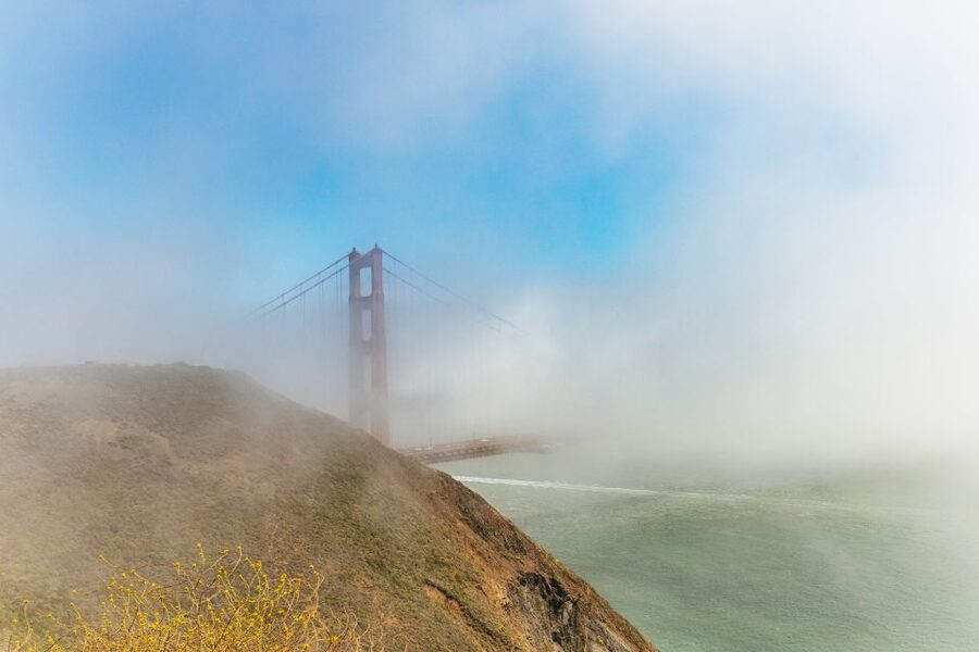 San Francisco: Muir Woods and Sausalito Small-Group Tour - The money question: is $99 good value here?