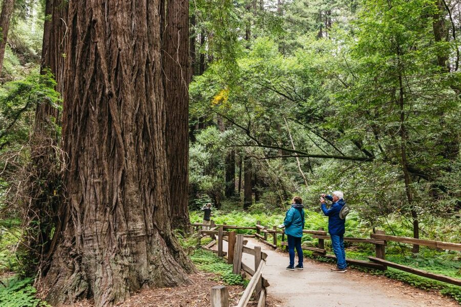 San Francisco: Muir Woods, Napa & Sonoma Valley Wine Tour - Hotel Pickup to Golden Gate Photo: how the day actually starts