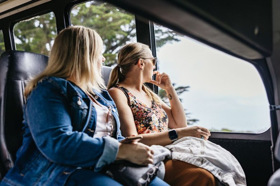 San Francisco: Muir Woods, Napa & Sonoma Valley Wine Tour - Muir Woods National Monument: what your timed hour feels like