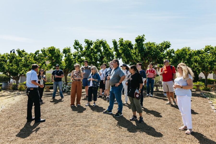 San Francisco: Muir Woods, Napa & Sonoma Valley Wine Tour - Mayo Family Winery: your first tasting, your first taste of variety