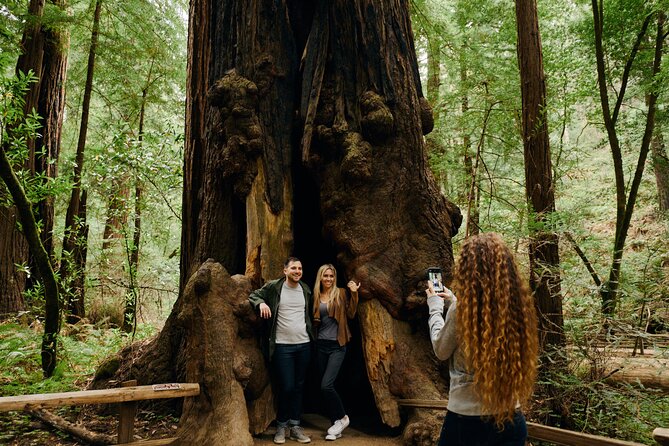San Francisco, Muir Woods, Sausalito and optional Alcatraz tour - Price and comfort: what $119 gets you, and what it does not