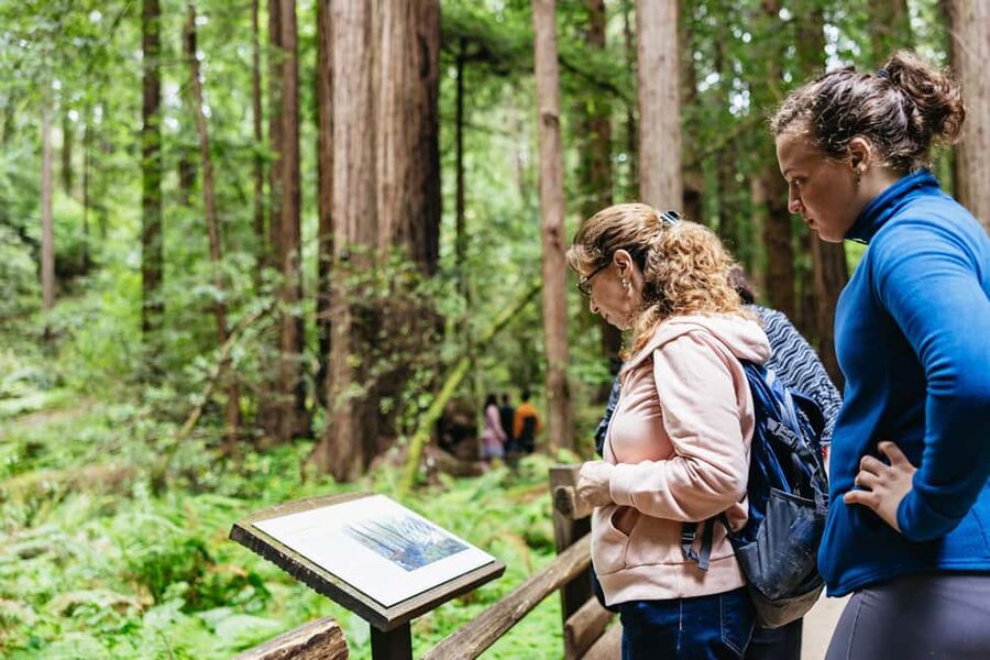 San Francisco: Muir Woods & Sausalito Tour with Ferry Option - Key things to know before you go
