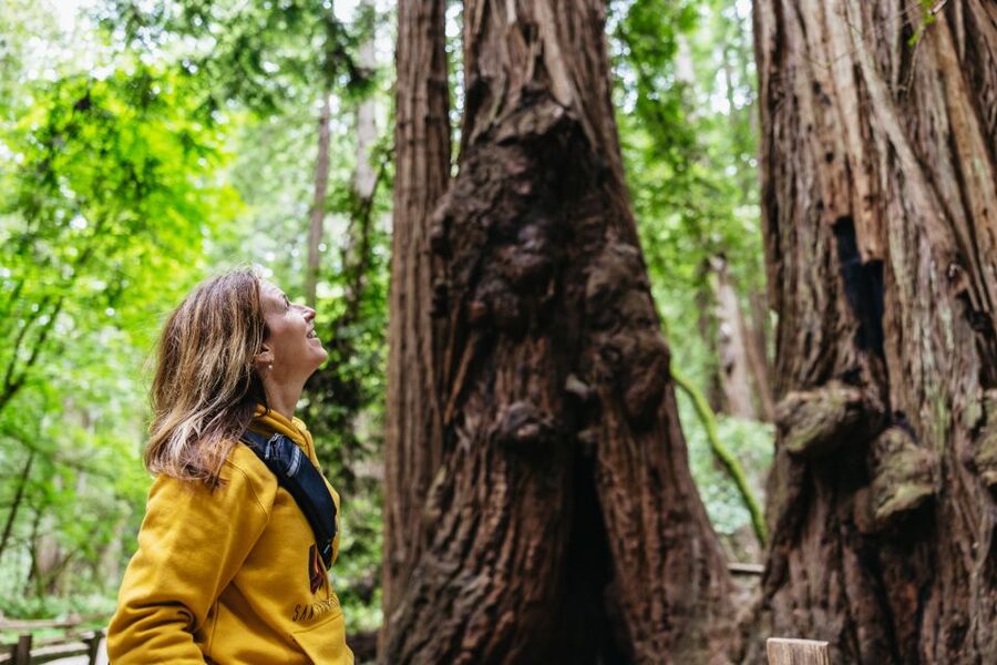 San Francisco: Muir Woods & Sausalito Tour with Ferry Option - Muir Woods and Sausalito in one half-day loop