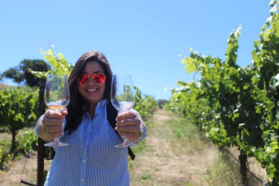 San Francisco: Napa and Sonoma Valley Wine Tour - Key Points You Should Know Before You Go