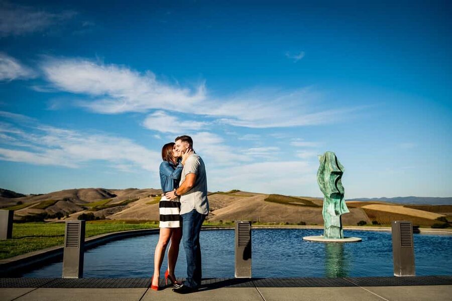 San Francisco: Napa and Sonoma Valley Wine Tour - Price and Value for $165, Including Tasting Fees