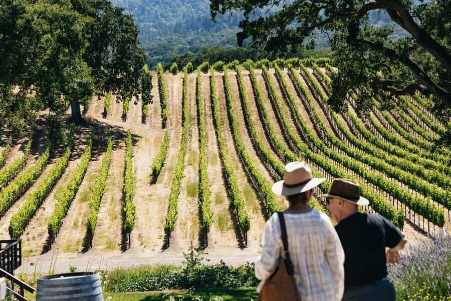 San Francisco: Napa and Sonoma Valley Wine Tour - From SF to Wine Country: How the Drive Works in Real Life
