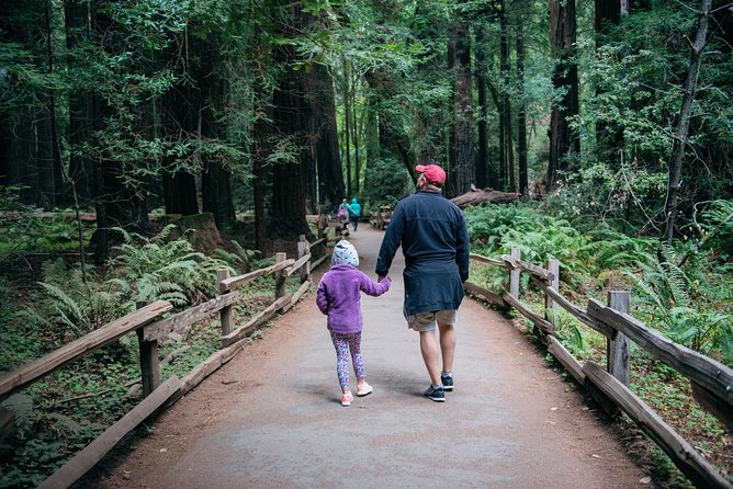 San Francisco Super Saver: Muir Woods & Wine Country w/ optional Gourmet Lunch - Napa Tastings at RuVango: Your First Flight Set the Tone