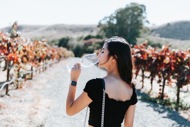 San Francisco Super Saver: Muir Woods & Wine Country w/ optional Gourmet Lunch - Sonoma Plaza Lunch Stop: A Real Break Midday