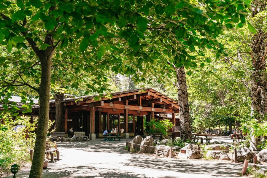 San Francisco: Yosemite National Park & Giant Sequoias Hike - The day starts before sunrise, and that’s the point