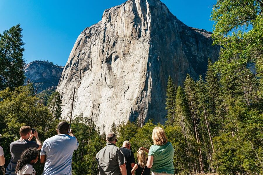 San Francisco: Yosemite National Park & Giant Sequoias Hike - Giant Sequoias walk: the highlight, with one big weather rule