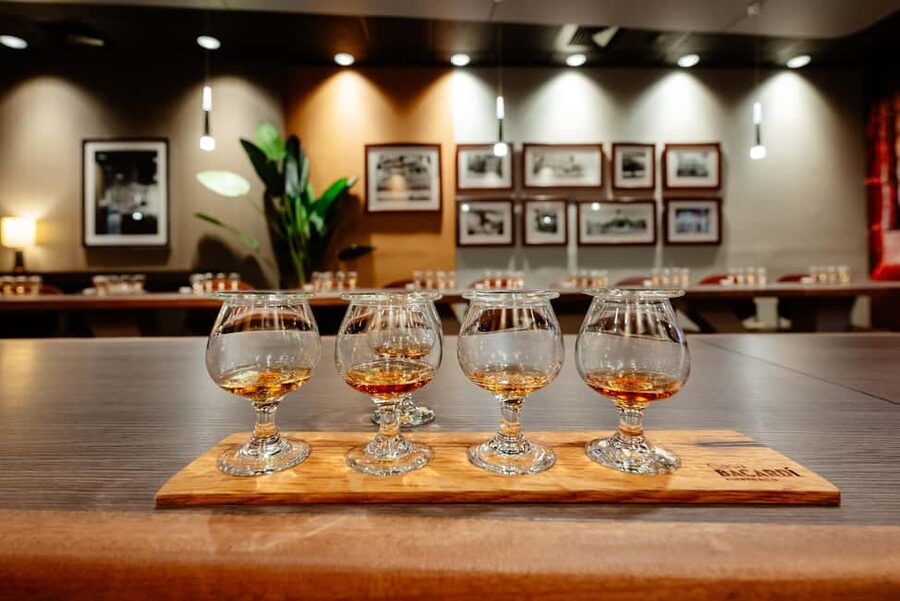San Juan: Casa Bacardi Distillery Tour - Choosing your experience: Legacy, Mixology, or Rum Tasting