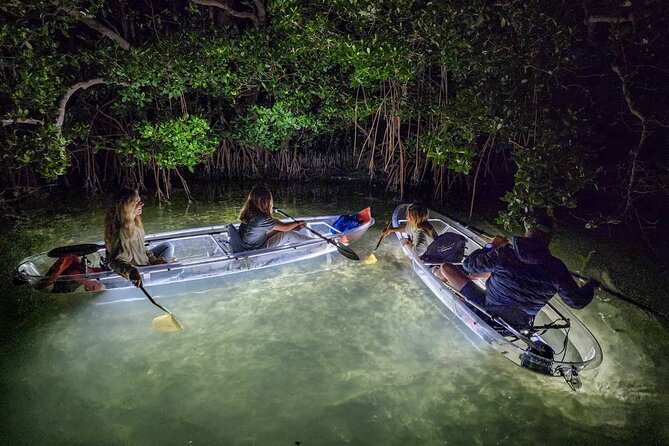 Sarasota - Clear Kayak LED Night Glass Bottom Tour - Key things I’d plan around before you go