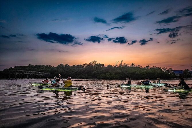 Sarasota - Clear Kayak LED Night Glass Bottom Tour - Who this is best for in Sarasota (and who might want a different plan)