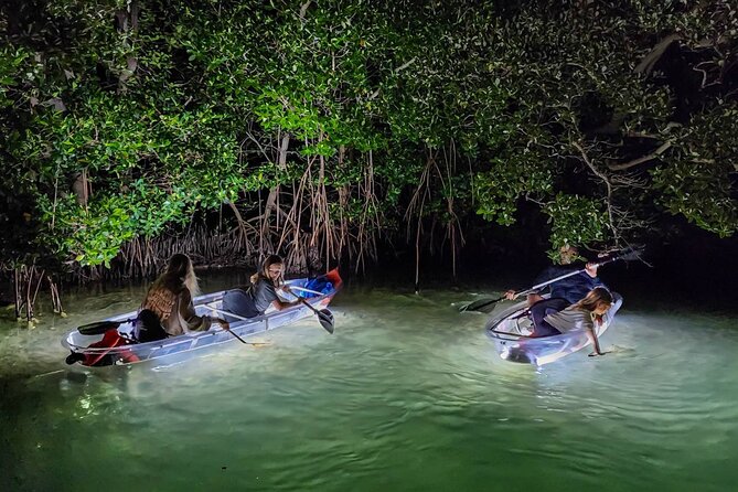 Sarasota - Clear Kayak LED Night Glass Bottom Tour - Price and value: is $65 per person fair for 1 hour 15 minutes?