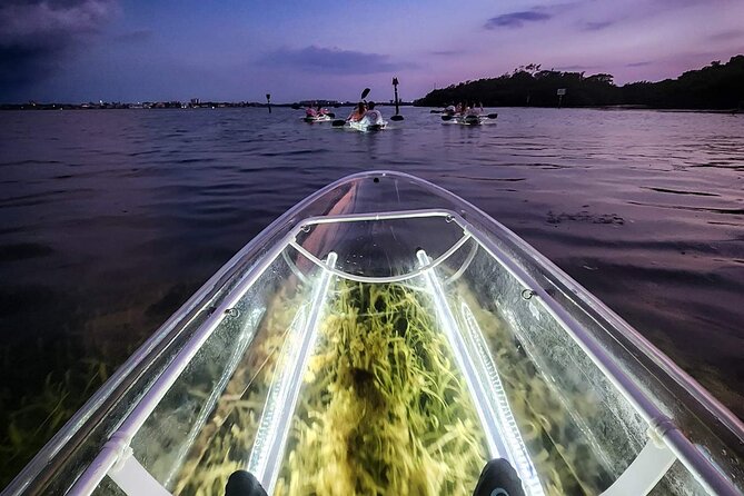 Sarasota - Clear Kayak LED Night Glass Bottom Tour - The LED glass bottom effect, why it matters more than you think