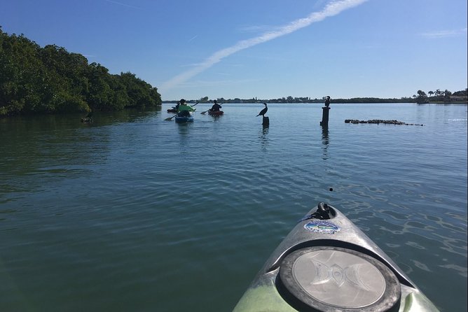 Sarasota Guided Mangrove Tunnel Kayak Tour - Entering The Mangrove-Quiet World On Lido Key