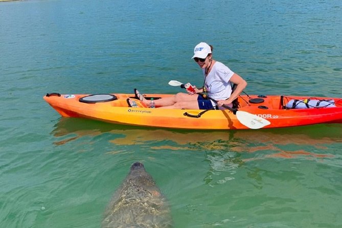 Sarasota Guided Mangrove Tunnel Kayak Tour - The 2 Hour Route Through Little Sarasota Bay To South Lido