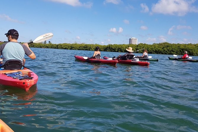 Sarasota Guided Mangrove Tunnel Kayak Tour - Your Start Point At Sea Life Kayak Adventures, 190 Taft Dr
