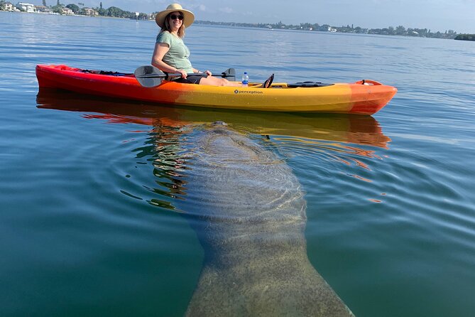 Sarasota Mangrove Tunnel Guided Kayak Adventure - Key Highlights I’d Plan Around